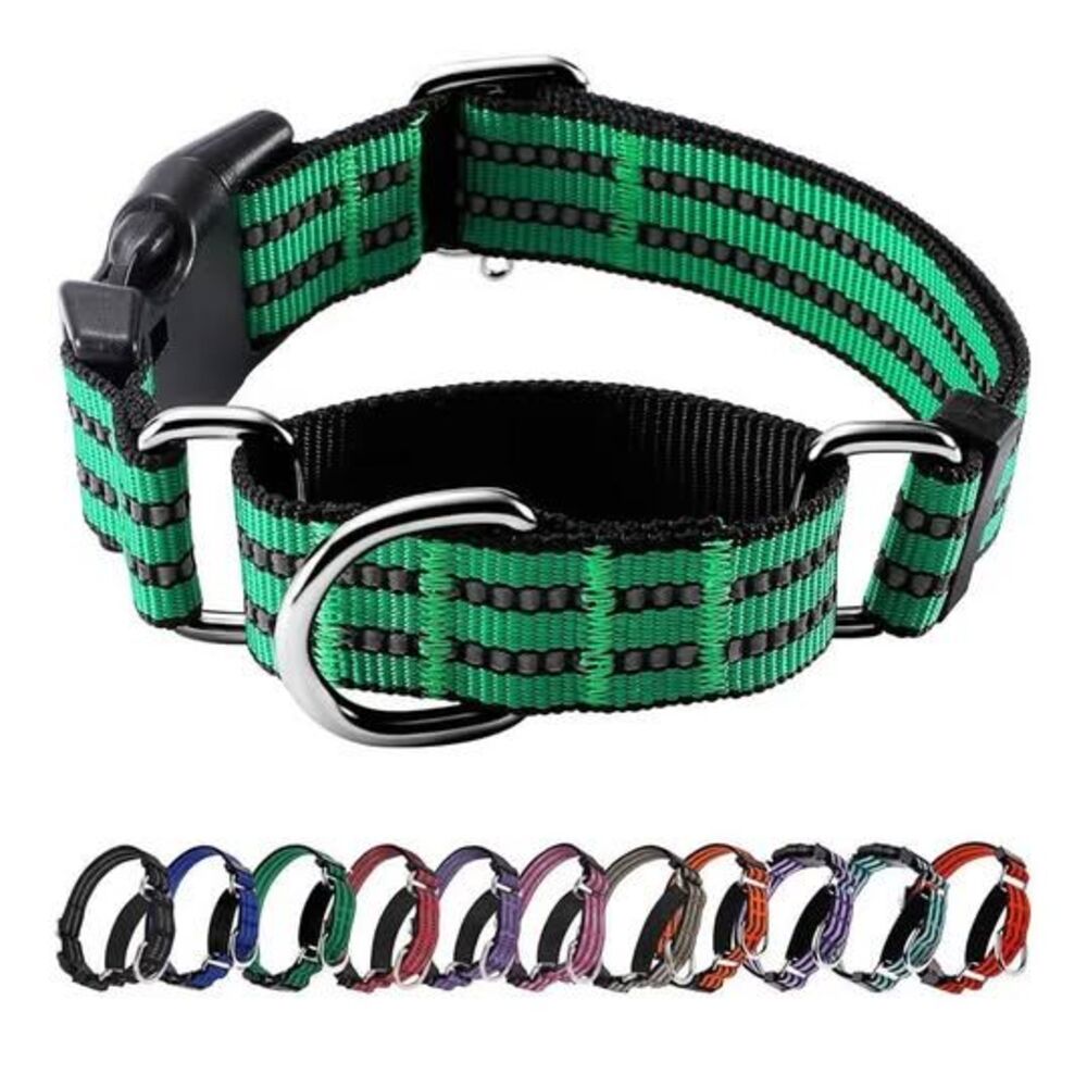 Dog Collar, Medium NEW